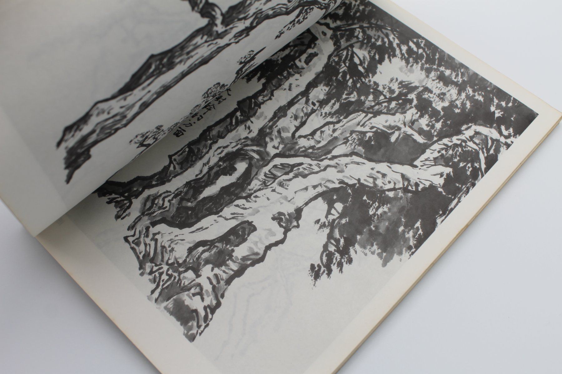 Libri: altes Buch - Chinesische Kunst / Malerei – Usato da Lachen SZ venduto da ratata 3