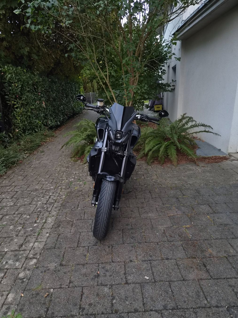 Yamaha Route: Yamaha MT 09 2022 – D'occasion à Fislisbach par LEMO_Motos 8