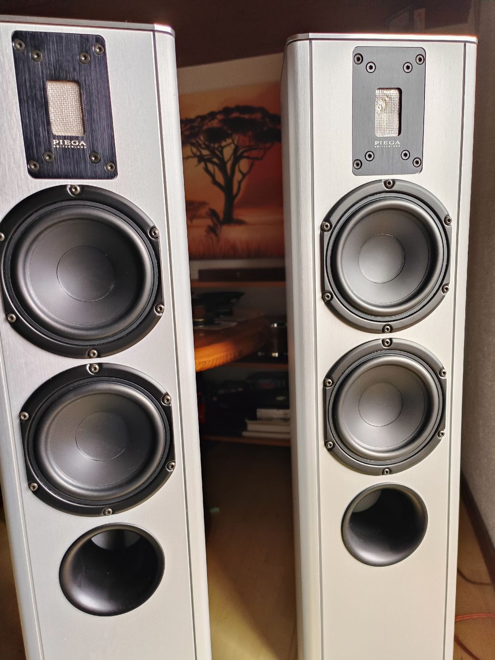 Piega Casse acustiche: Piega TP5 Highend Lautsprecher – Usato da Steffisburg venduto da zulg03 6
