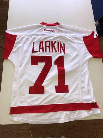 Nhl Eishockey Trikot Reebok Detroit Red Wings Larkin Gr.M