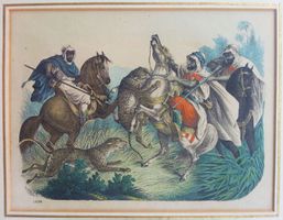 Kupferstich koloriert, Leopardenjagd durch Araber, 1859