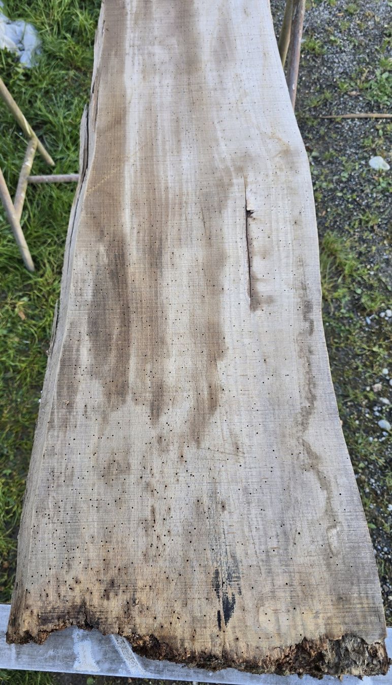 Holzartikel: Altes Holzbrett – Gebraucht aus Rorschacherberg von snOOpydOg11 4