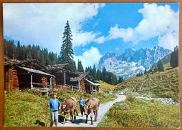 St. Antönien - Partun - Kinder mit Kühen - AK
