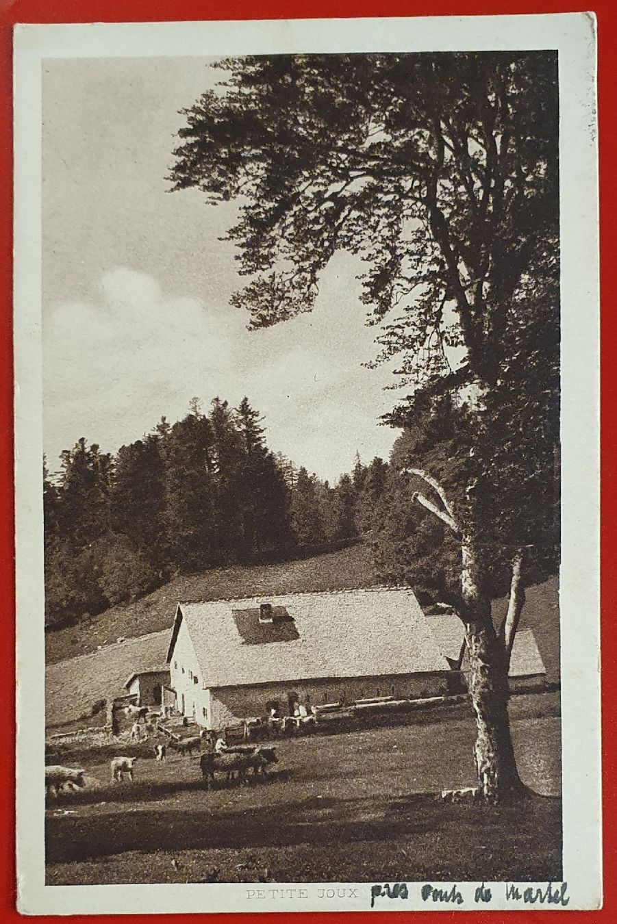 Cartoline postali: Ponts  de  Martel.  -  La  Petite  Joux 1918 – Usato da Kreuzlingen venduto da Rschweiz1