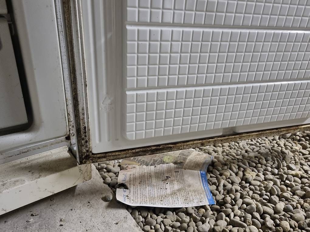 Congelatori: Tiefkühlschrank – Usato da Ebnat-Kappel venduto da rkr_d7g2 2