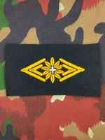 Spezialistenabzeichen Generalstab, Versuch, Variante 4