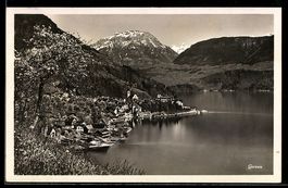 AK Gersau, Ort am See mit Bergen