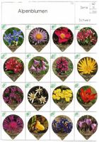 Alpenblumen - 30 Kaffeerahm Deckeli - KRD Komplett - 1988