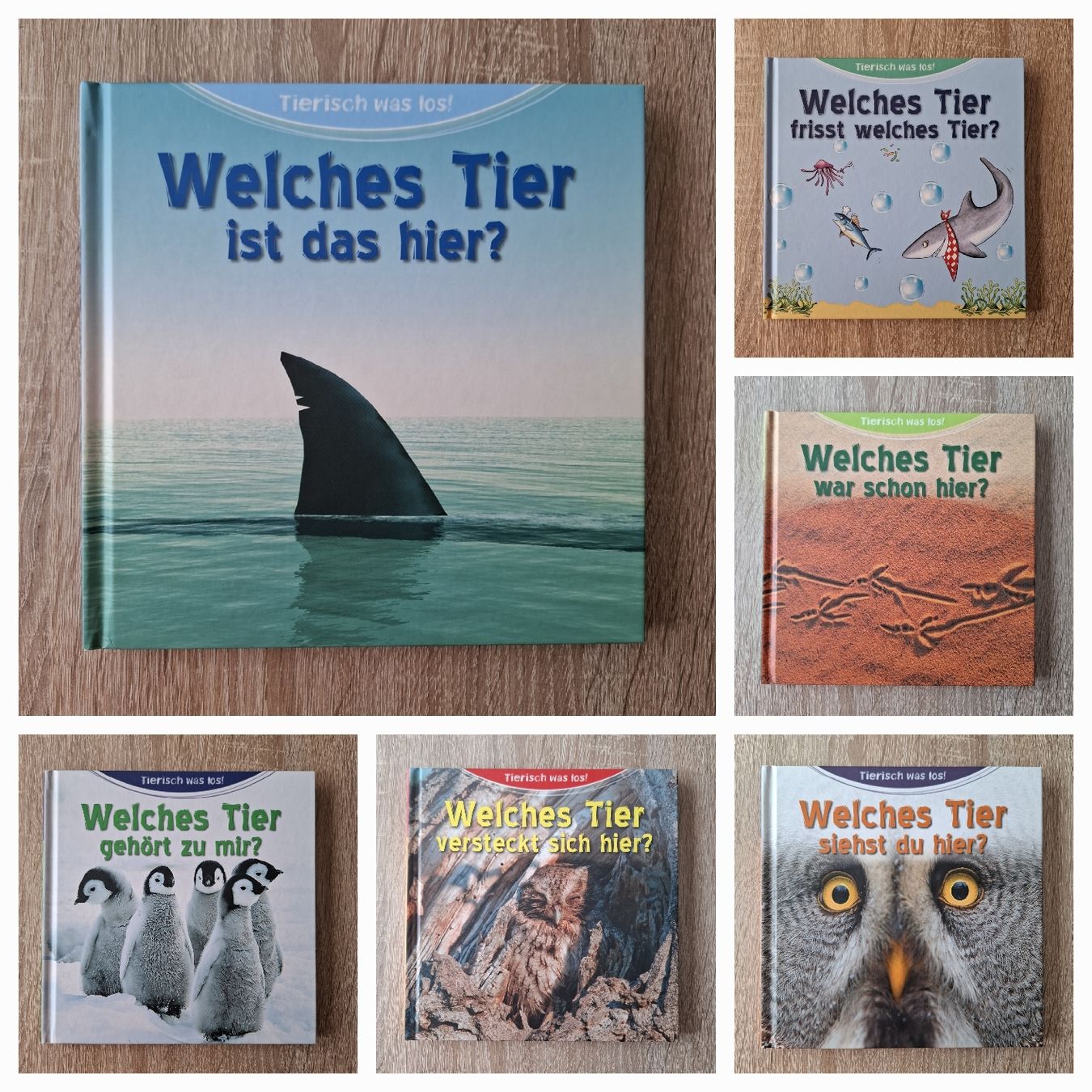 Libri: 6 Kinderbücher "Welches Tier..." – Nuovo (secondo la descrizione) da Hägglingen venduto da Pilipadin