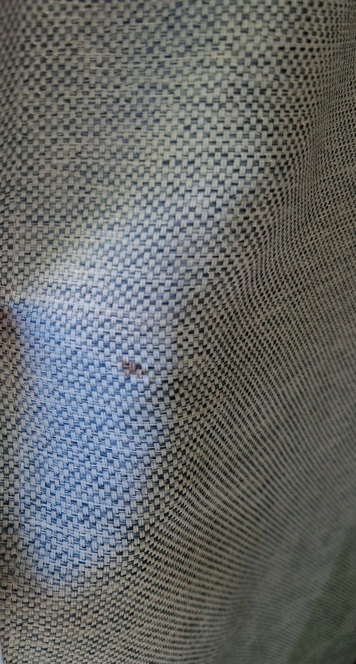 Rideaux: Fünf grosse hellblaue Vorhänge – D'occasion à Bern par Lu.Ma 8