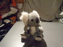 Koala-Bär, grau/weiss