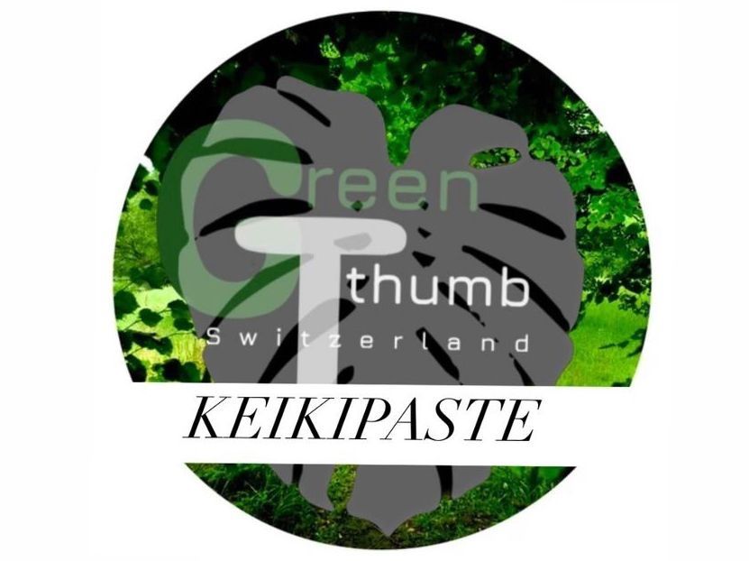Piante & sementi: Keiki Paste 5x 3g – Usato da Spreitenbach venduto da GreenThumb