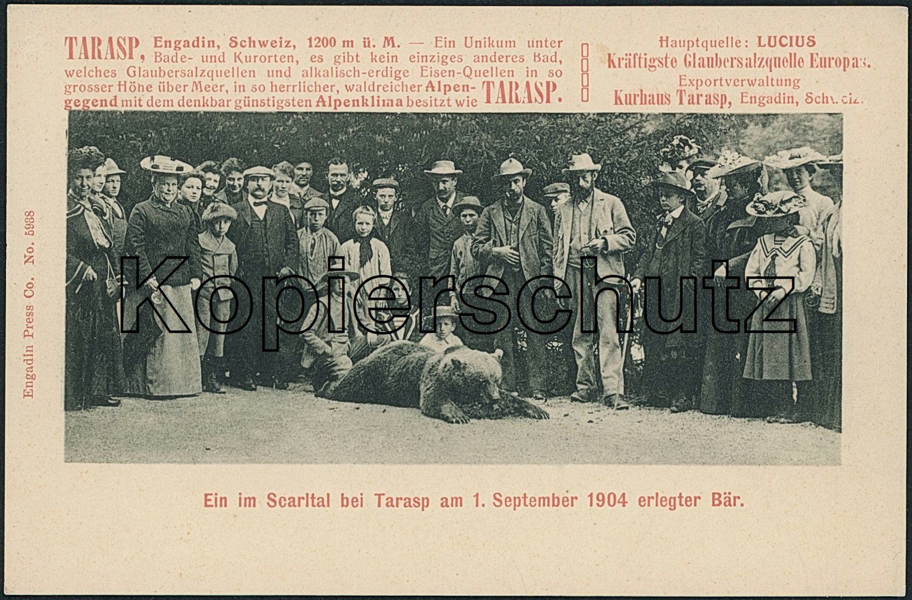 Cartoline postali: GR Tarasp - Jagd - Tiere - Bären – Nuovo (secondo la descrizione) da Schindellegi venduto da Jonathan77