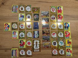 334 Panini WM 2026 Bilder sortiert keine Doppelten ab 1.--