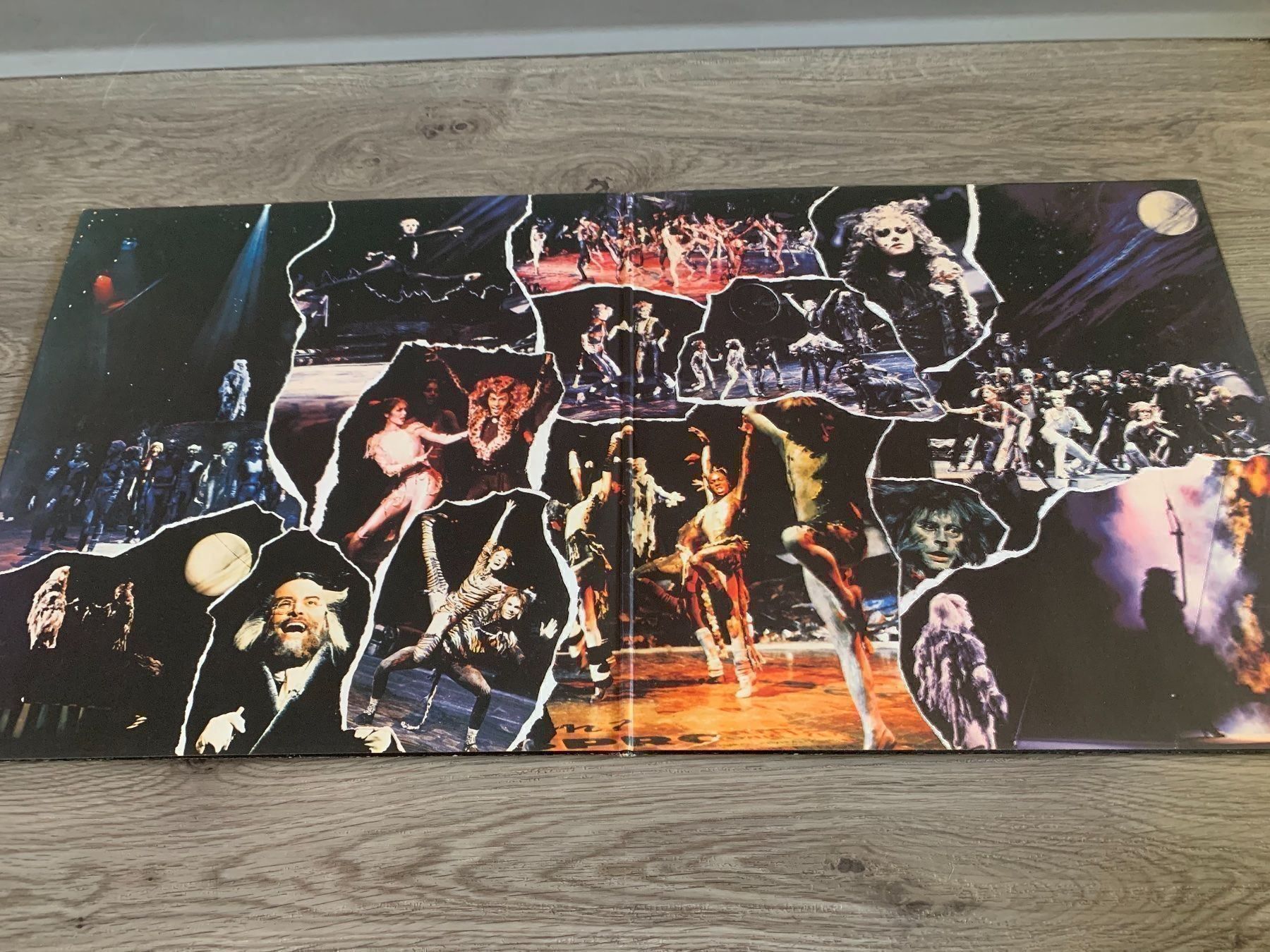 Dischi in vinile: CATS Doppel LP – Usato da Regensdorf venduto da Spyke55 1