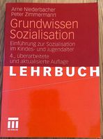 Grundwissen Sozialisation