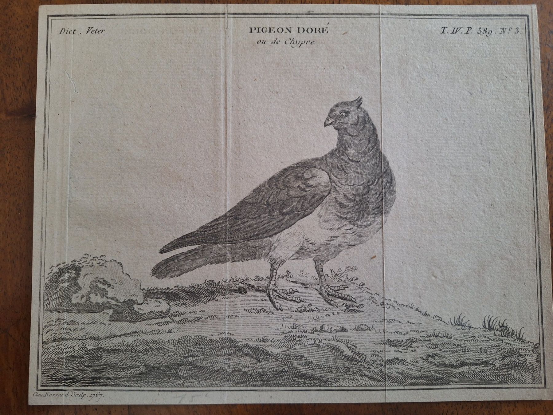 Stiche: PIGEON DORE  1767 – Gebraucht aus Bevaix von bohrap