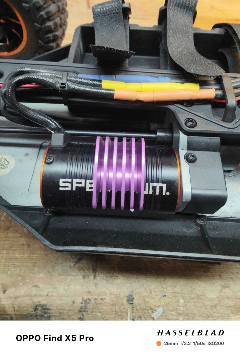 Losi Modellismo RC: Lasernut 1:8 von Losi – Usato da Sachseln venduto da Vultur70 2