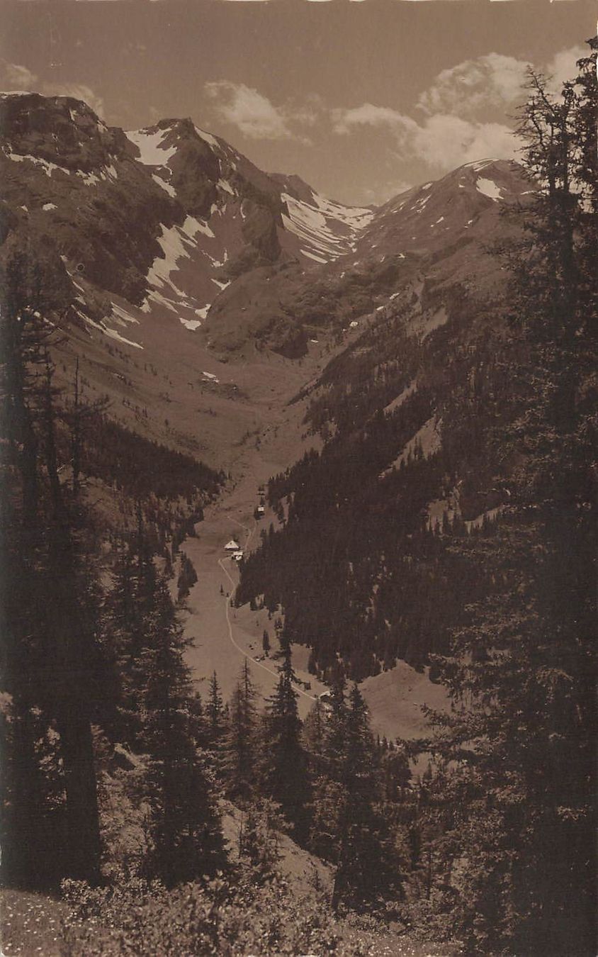 Cartoline postali: Lenk BE Iffigental Talblick Berge – Usato da Biasca venduto da Blenio71