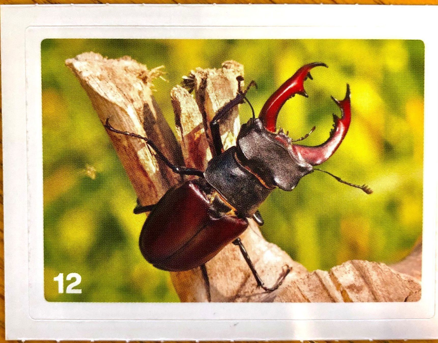 Migros Carte collezionabili: Migros Nature Detectives - Bild Nr. 12 – Nuovo (secondo la descrizione) da Oberrieden venduto da Zimmerberg10