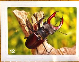 Migros Nature Detectives - Bild Nr. 12