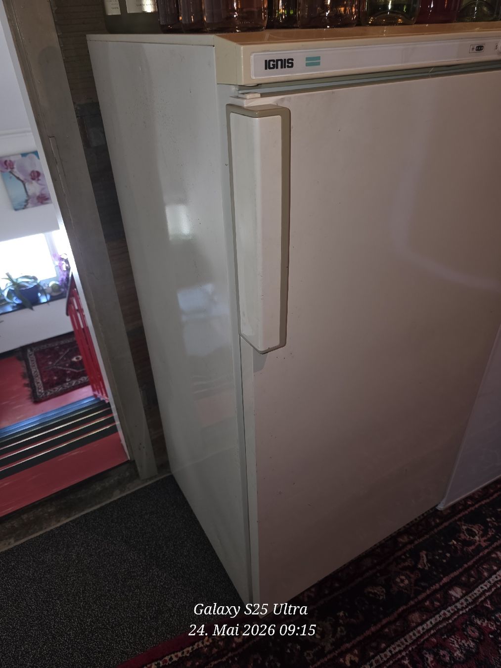 Congelatori: Gefrierschrank IGNIS – Difettoso da Sonterswil venduto da 1234ralf 1
