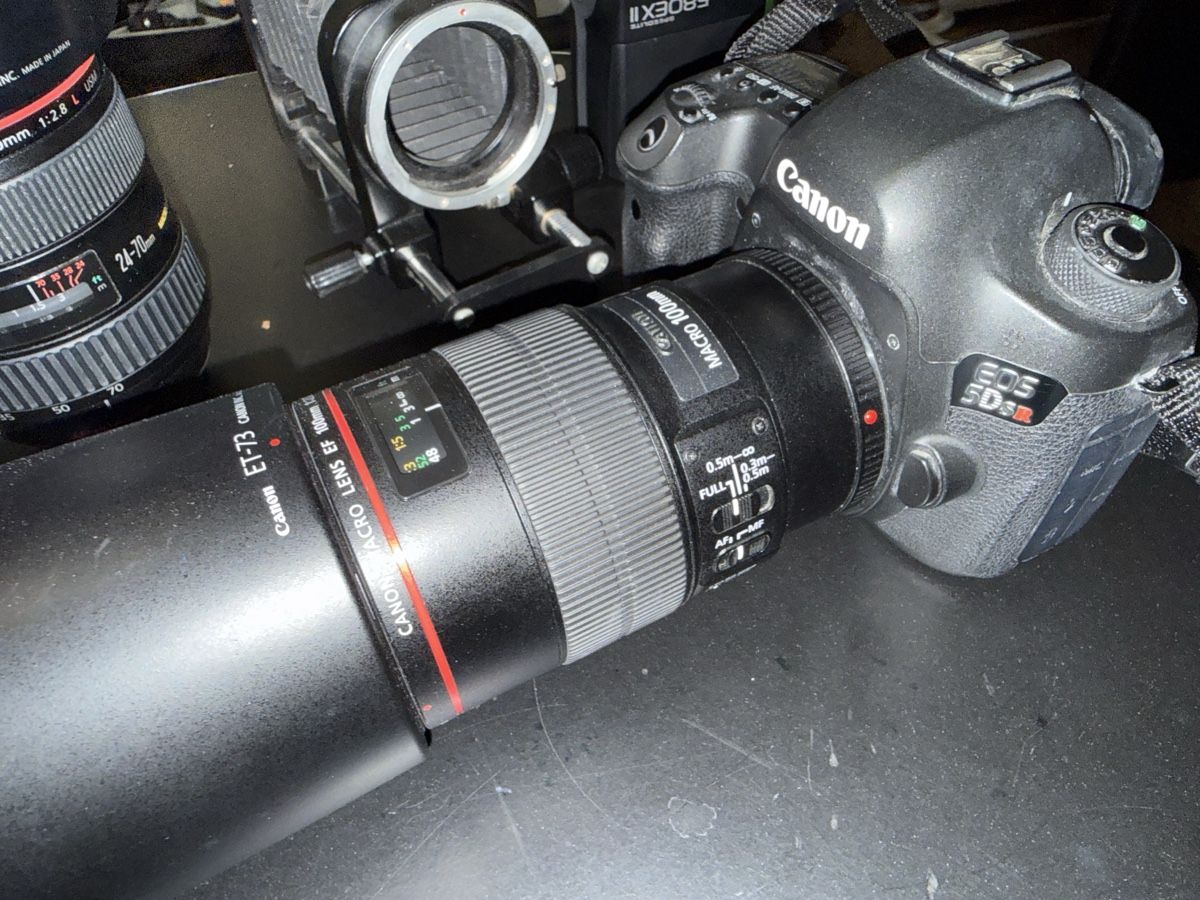 Canon Fotocamera: Kameraset, Canon eos 5dsr, 4 Objektive, Blitz und Balgen – Usato da Basel venduto da Ramses1179 1