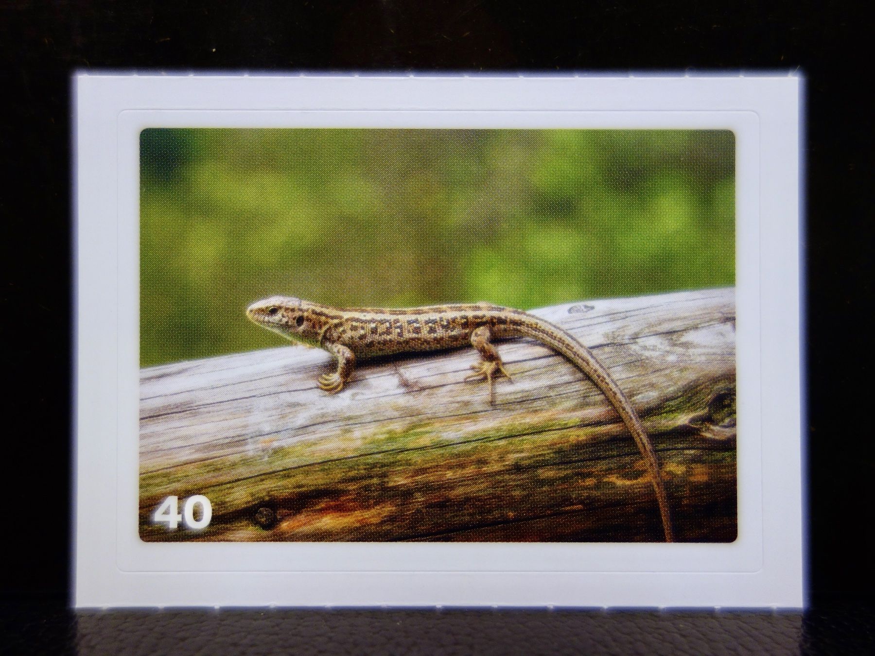 Migros Cartes à collectionner: MIGROS MANIA Nature Detectives Nr. 40 – Neuf avec emballage d'origine à Kerzers par djstarsky73