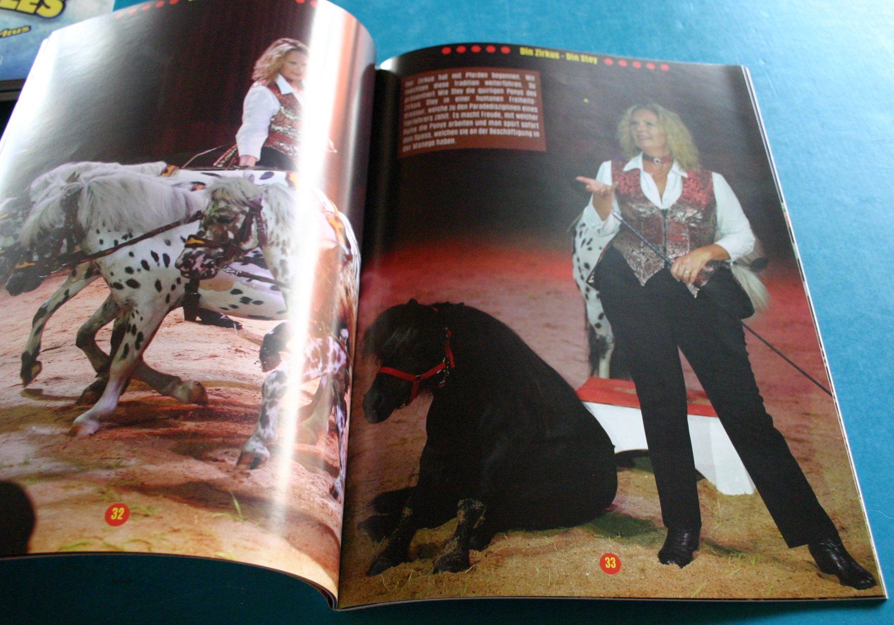 Riviste & Magazine: Zirkus Circus STEY Programm Magazin 2023 – Usato da Winkel venduto da franzxaver60 2