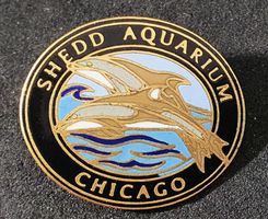 CC888 - Pin  SHEDD AQUARIUM  CHICAGO USA