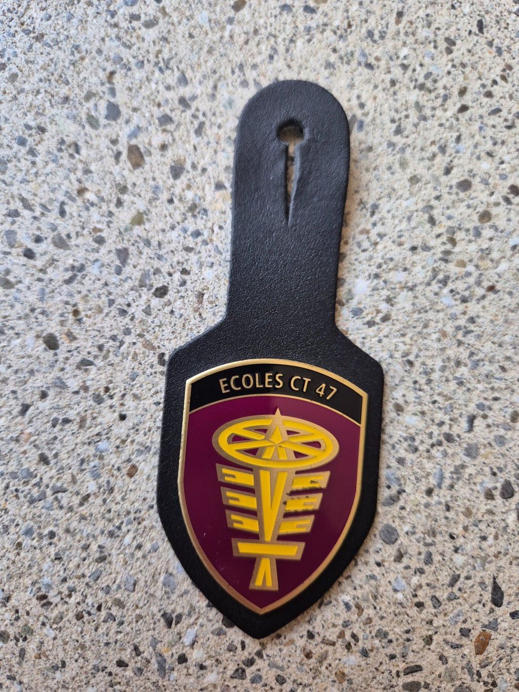 Schweizer Armee Placchette & Badge: *** Brustanhänger Ecoles CT 47 *** – Usato da Riedholz venduto da fr_sIruP