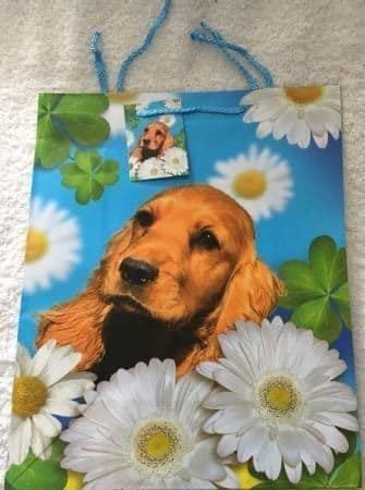 Carta: Geschenktüte Verpackung Hund Geschenk Tüte Large – Nuovo e nell'imballaggio originale da Buchs SG venduto da Billikatze5