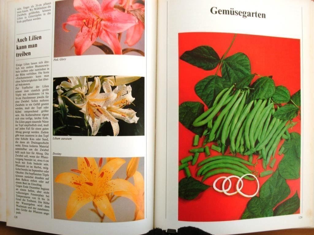 Bücher: Das Gartenjahr 78 – Gebraucht aus Grenchen von Kogi7 6