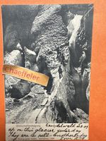 1907 Gletscherbesteigung. Grindelwald 