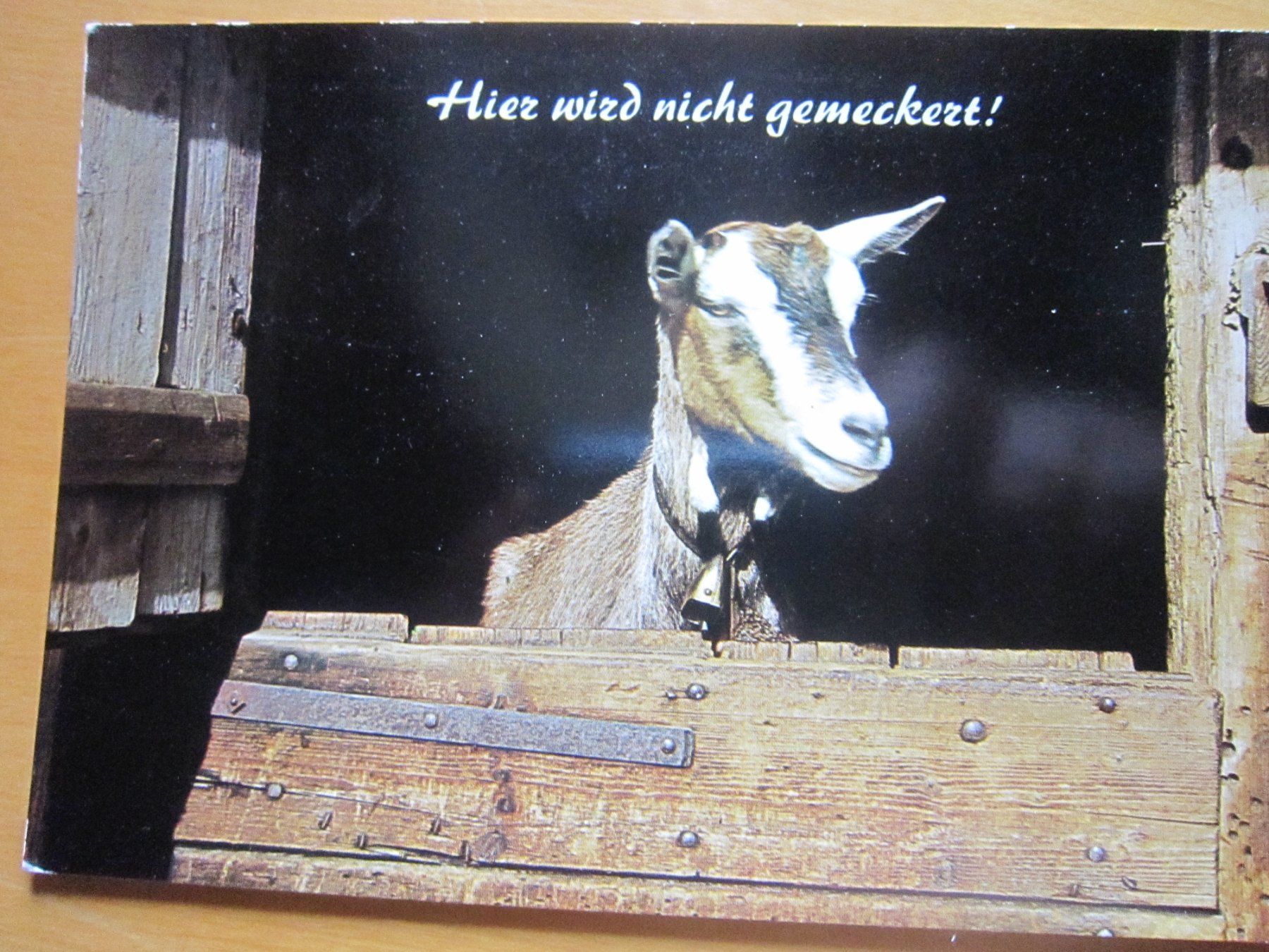 Cartoline postali: No 17 Postkarten Ziegen und Schafen – Usato da Gordola venduto da Polentaefung 6