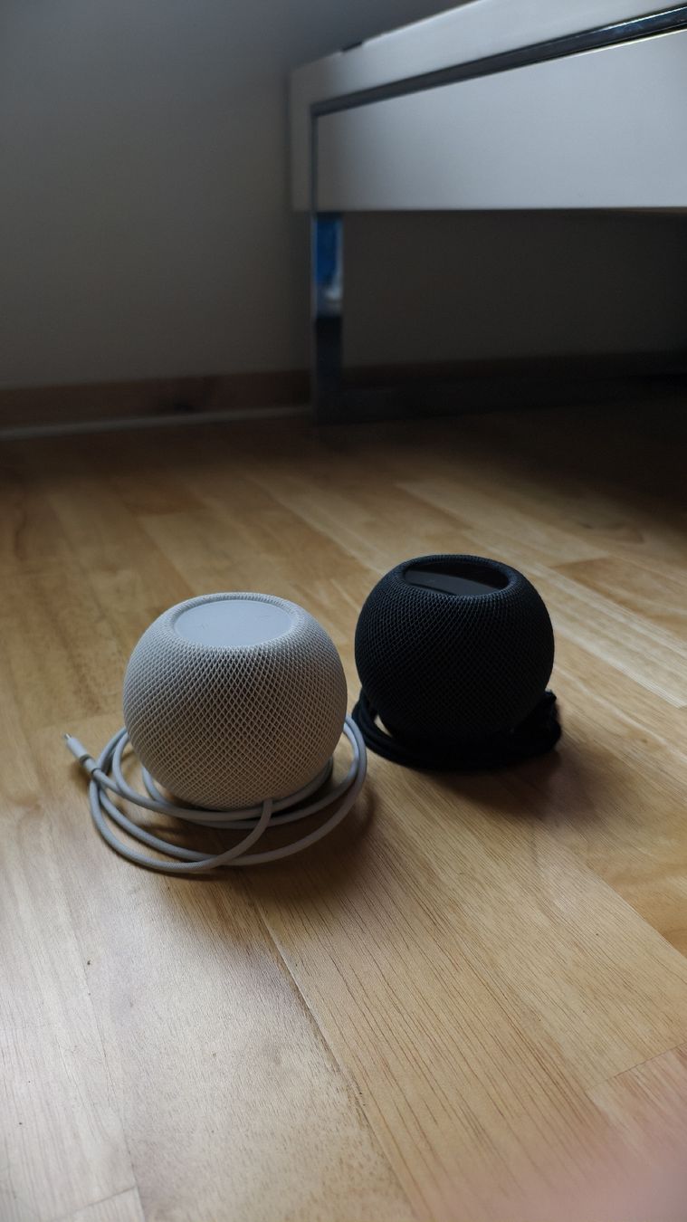 Apple Casse acustiche: Apple Homepod Mini – Usato da Mosnang venduto da chjsch7 3