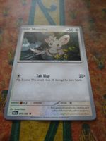 POKEMON  Minccino  I  BLK EN  075/086 HP60 2025