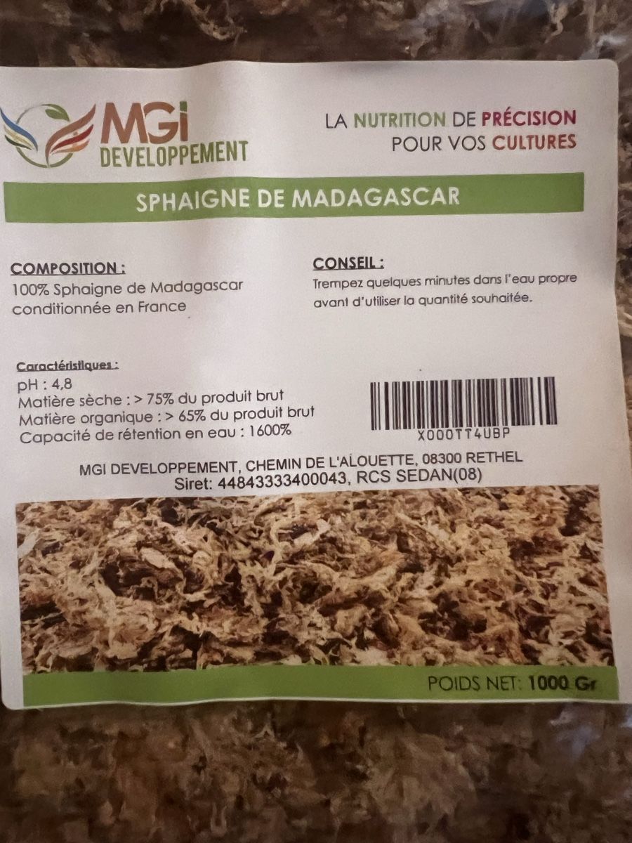 Piante & sementi: 1,5 Packung Madagaskar Spagnum Moss – Nuovo (secondo la descrizione) da Langenthal venduto da 7evenstar