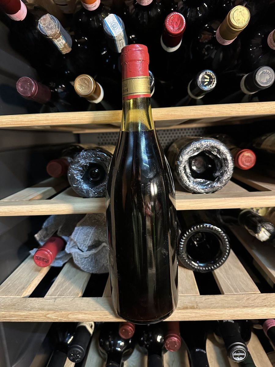 Vins: Savigny lès Narbantons 1976 – Neuf (Voir description) à Torricella par Jallone21 1