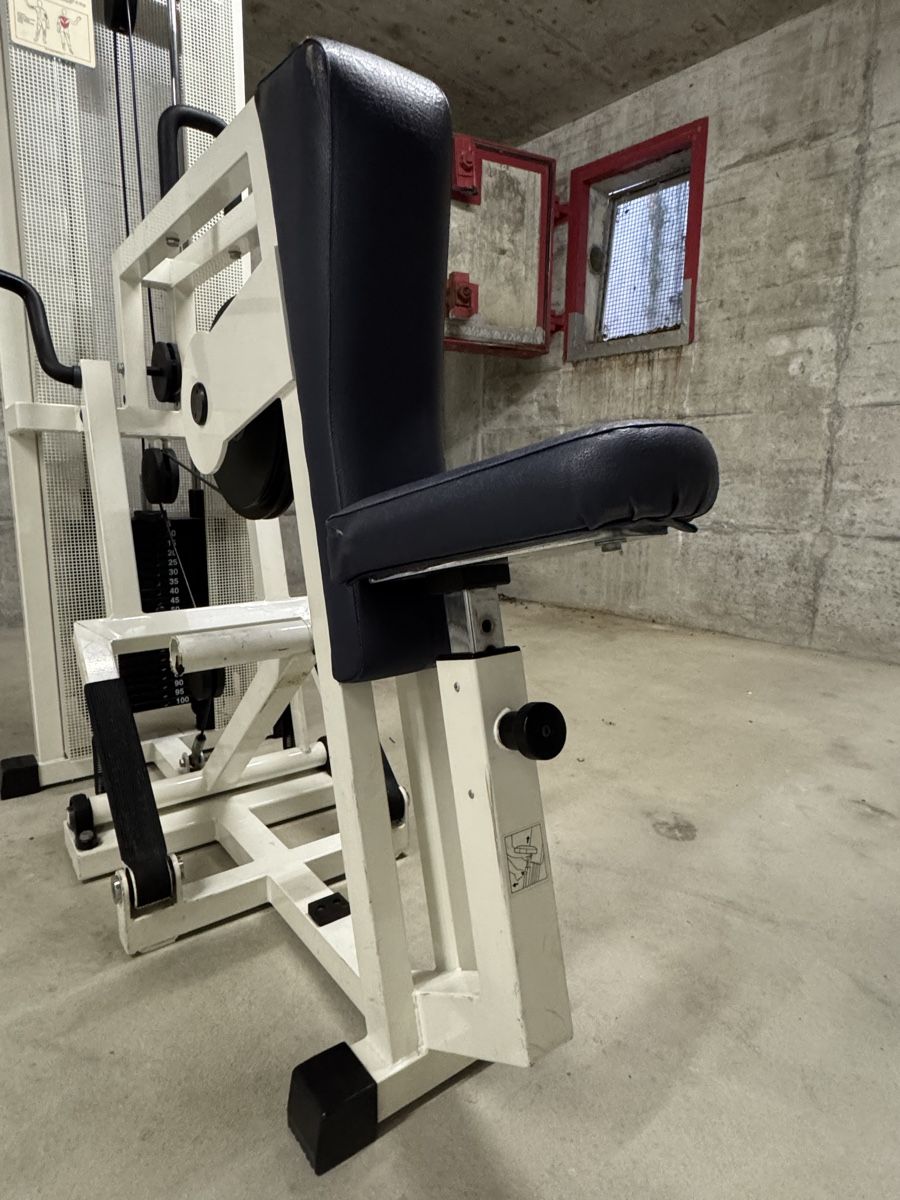 Hometrainer: Technogym Rudergerät – Usato da Oberwil BL venduto da enn_96dc 3