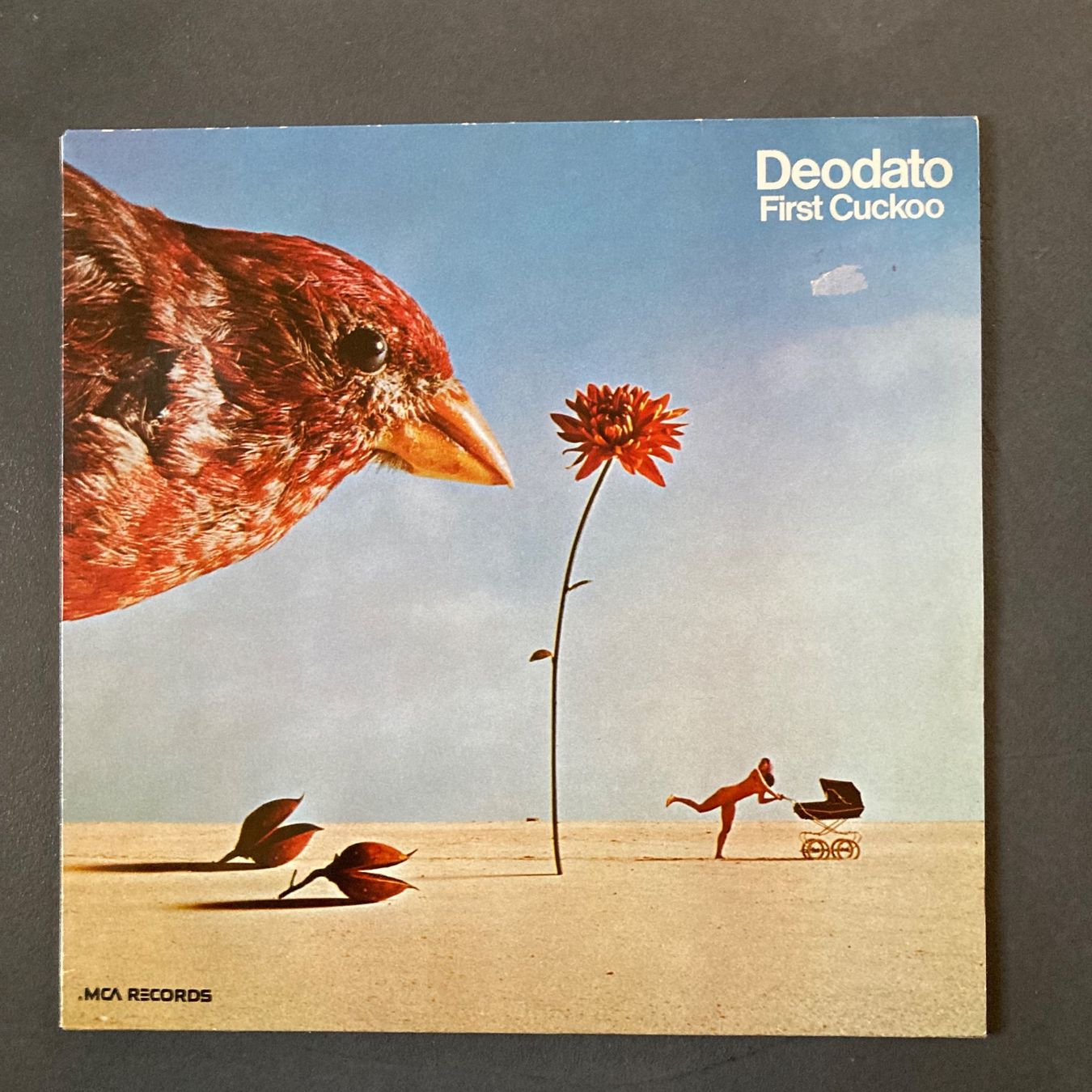 Dischi in vinile: Deodato - first cuckoo - LP – Usato da dachsen venduto da oheio