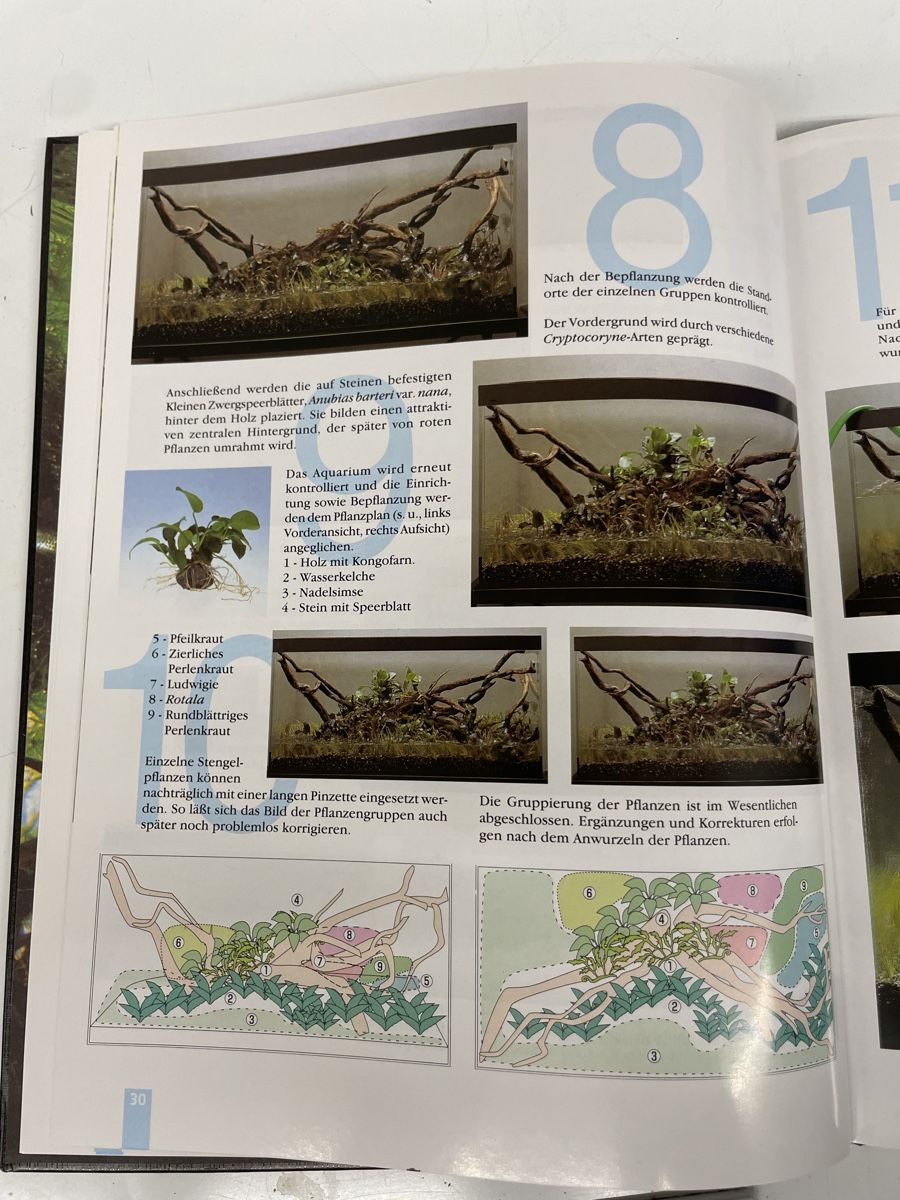 Libri: NEU Buch Amano aqua scape – Nuovo e nell'imballaggio originale da Nidau venduto da Beritundpan 3