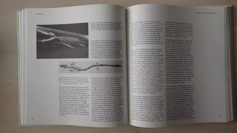 Bücher: Fossilien  Buch – Gebraucht aus Rickenbach BL von Oktober68 3