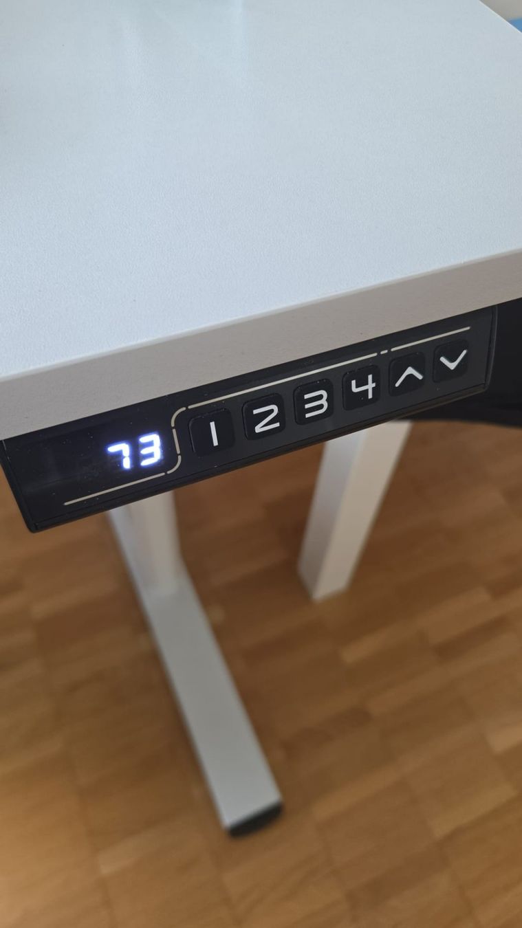 Scrivanie: LÖWENBISS Electric Height-Adjustable Desk – Usato da Zürich venduto da Caeirop 1