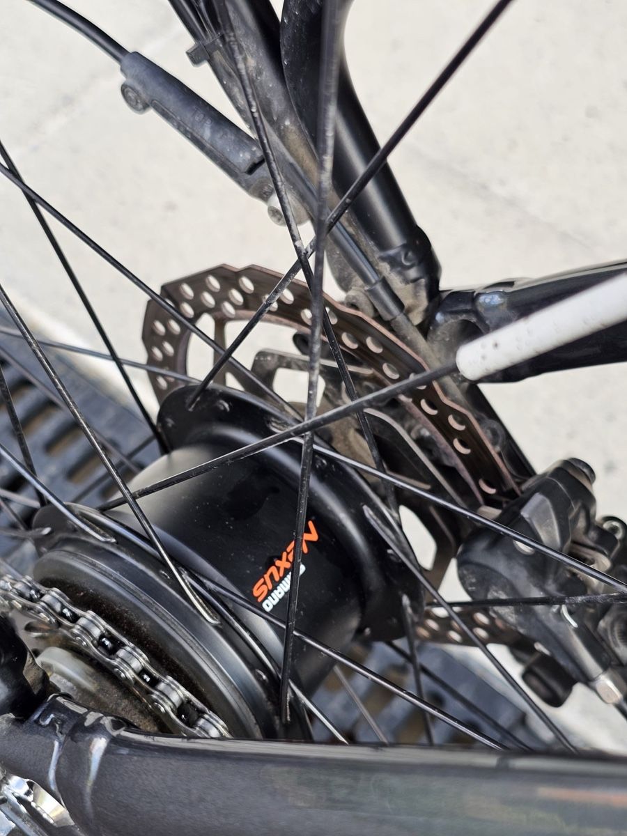 Flyer Biciclette: E-Bike Flyer – Usato da Bern venduto da ser_7vtn 4