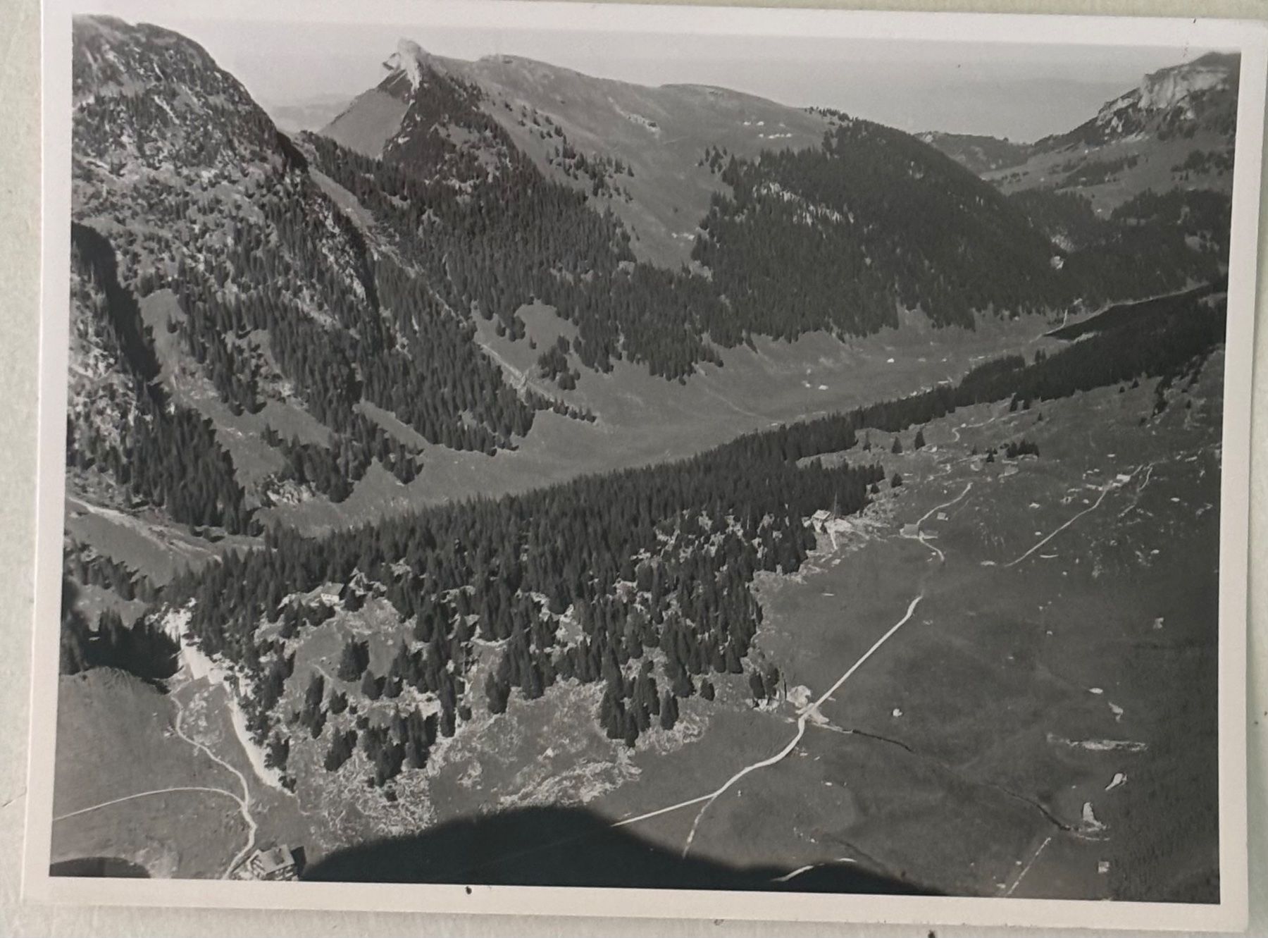 Cartoline postali: Foto E. Grubenmann, Appenzell, Bollenwies, 8.5 x 11.5 cm – Usato da Frauenfeld venduto da Merk52