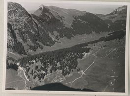 Foto E. Grubenmann, Appenzell, Bollenwies, 8.5 x 11.5 cm