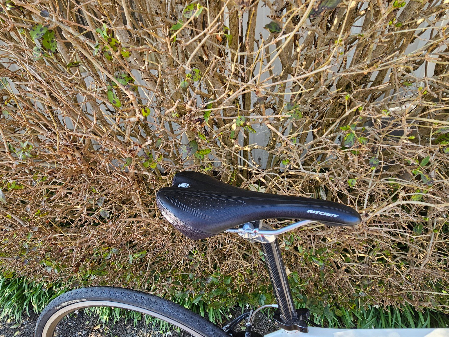 Biciclette: Marin Damenrennrad – Usato da Giffers venduto da hansi100 3