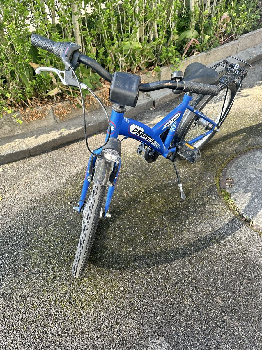 Biciclette: Pegasus Arcona Kindervelo, blau,  20 Zoll – Usato da Luzern venduto da linacolada1 1