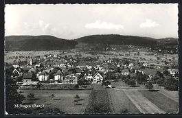 Mellingen /Aarg., Teilansicht mit Bäume